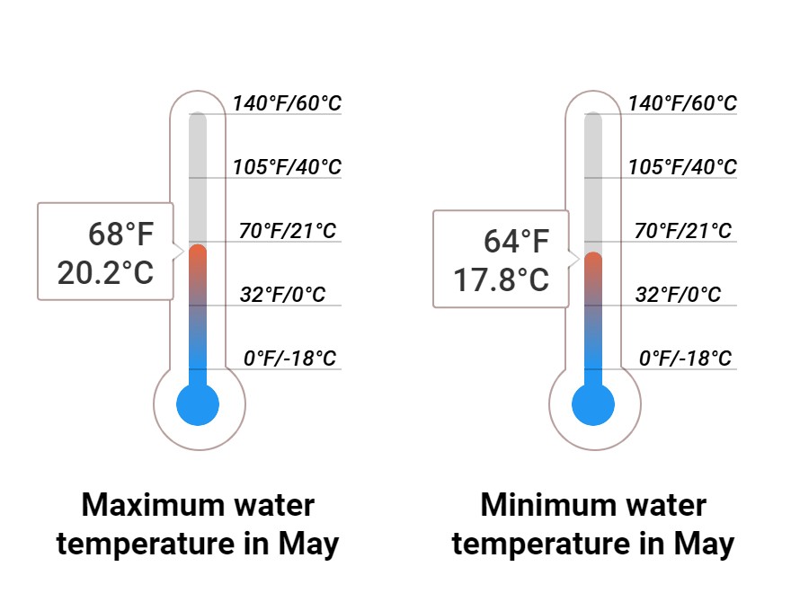 Average Sea temperature